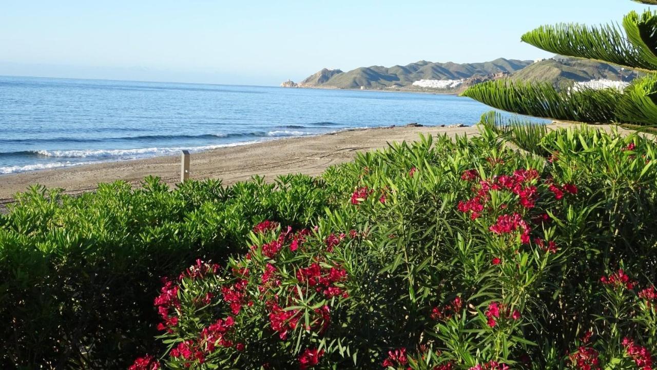 Atico Helena Con Solarium Y Jacuzzi Privado En Laguna Beach Бера Екстер'єр фото